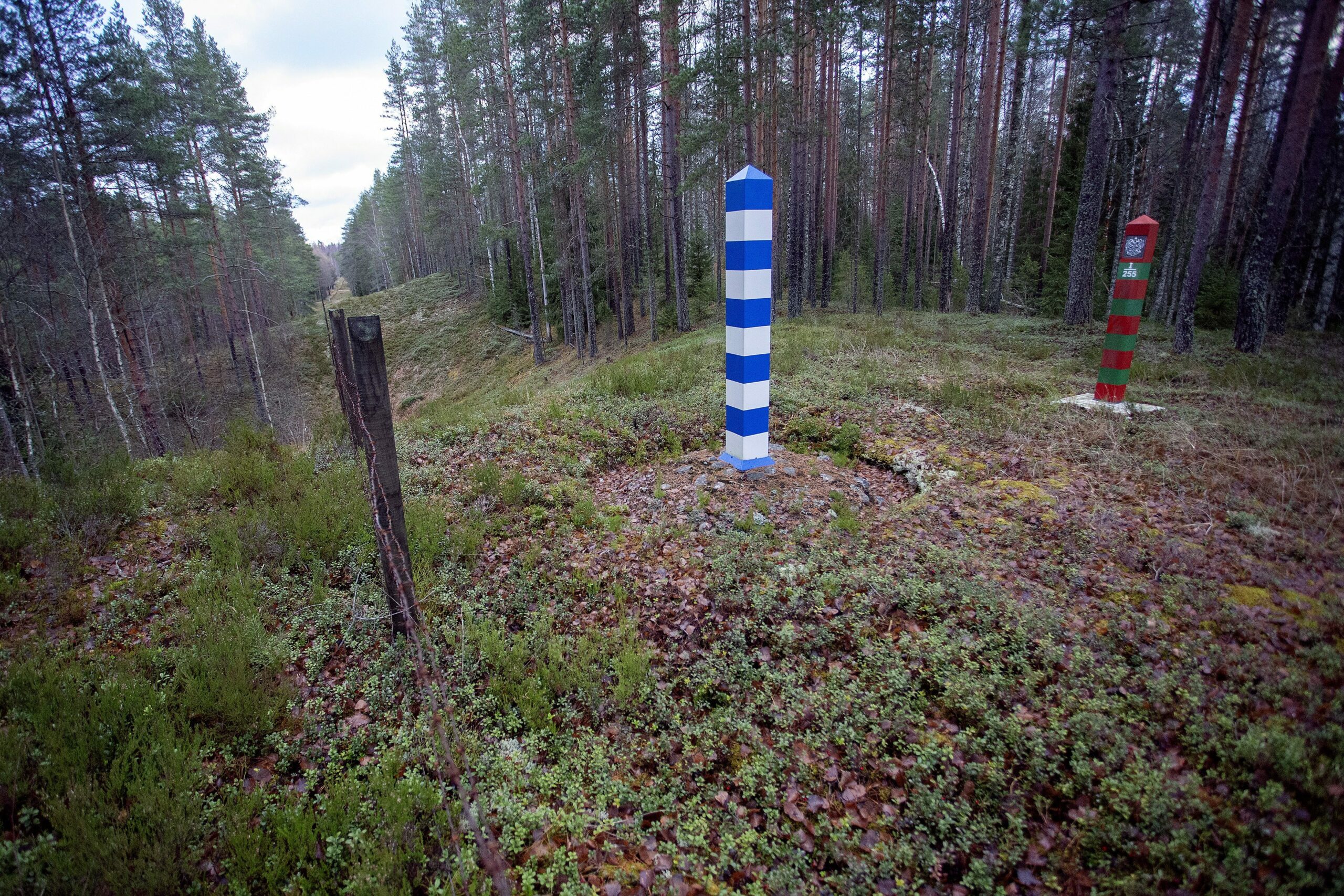 Tuleeko Suomen ja Venäjän välille raja-aita? Näin sisäministeri vastaa  Ylellä | Verkkouutiset