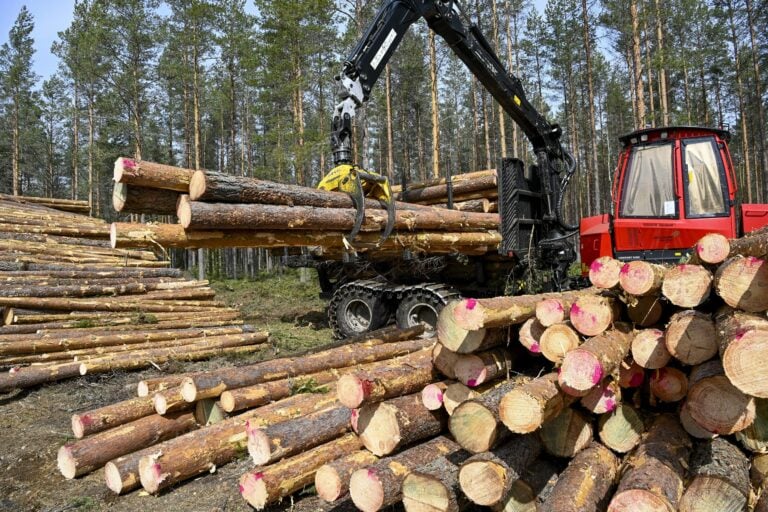 Harvennushakkuutyömaa Janakkalassa