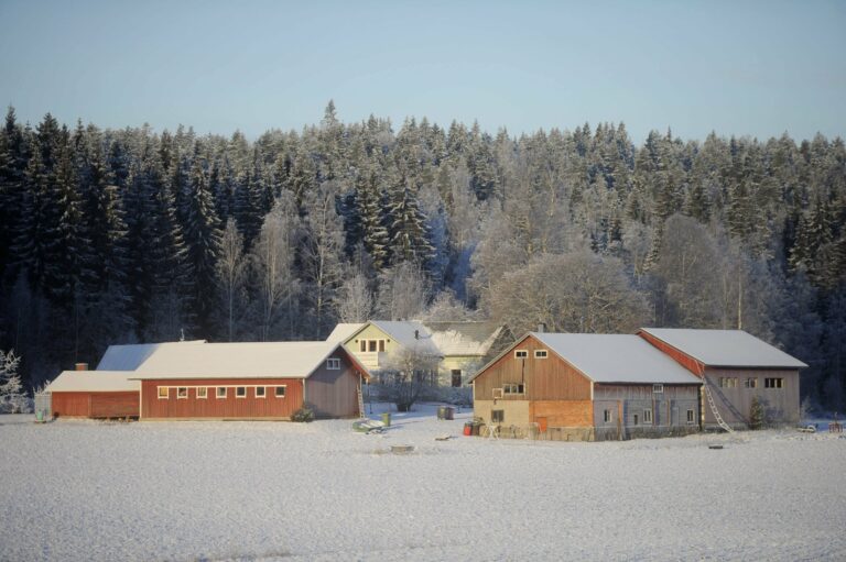 Maaseudun asukkaat tyytyväisiä elämäänsä