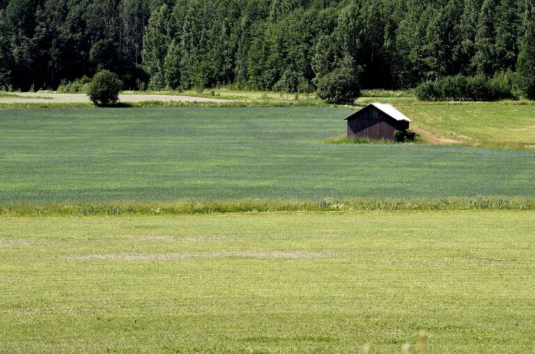 Sateeton sää kuivattaa maaston