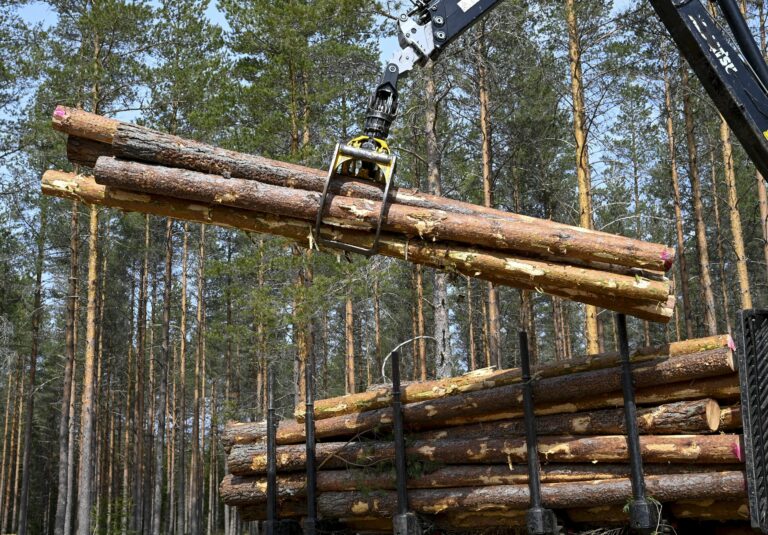 Harvennushakkuutyömaa Janakkalassa