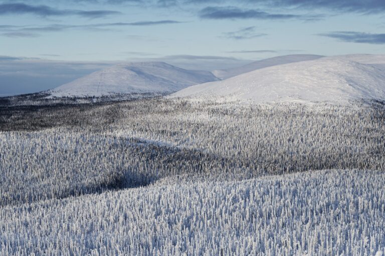 Pallas-Yllästunturin kansallispuisto