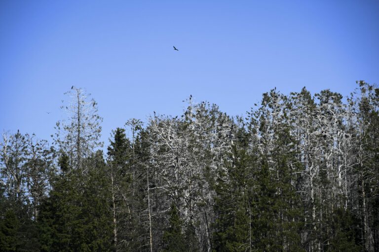 Reportaasimatka Tammisaaren saariston kansallispuistossa