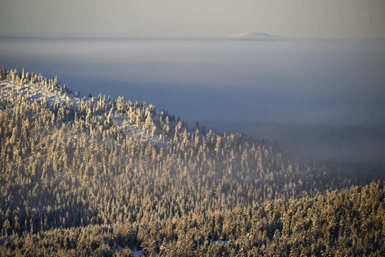 Isänpäivää vietetään etelässä tihkusateessa, pohjoisessa pakkaskelissä