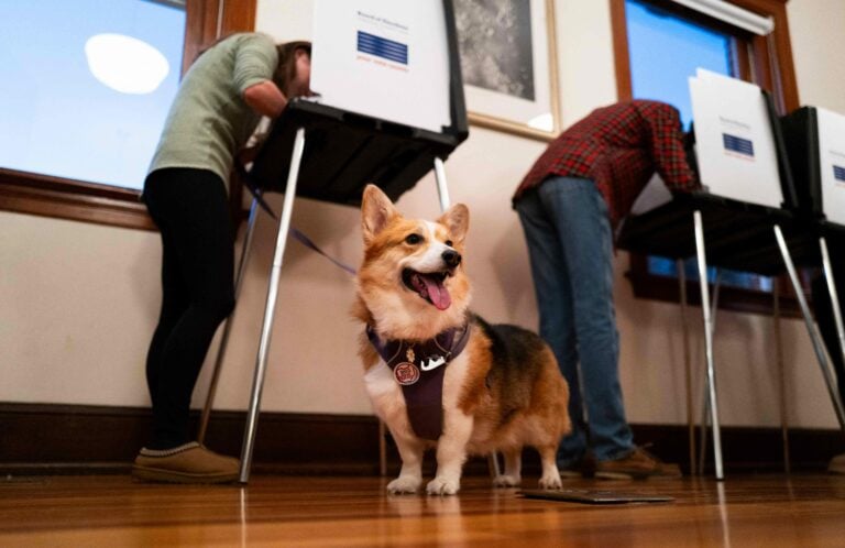 Americans Vote In The 2024 Presidential Election