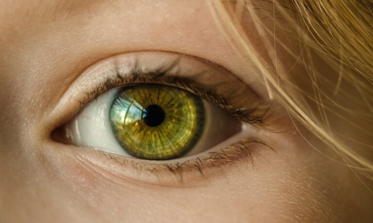 eye-1132531_1920