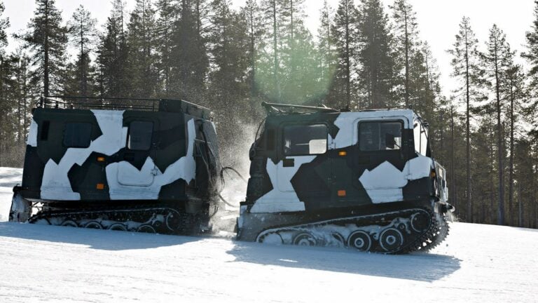 Bandvagn 206