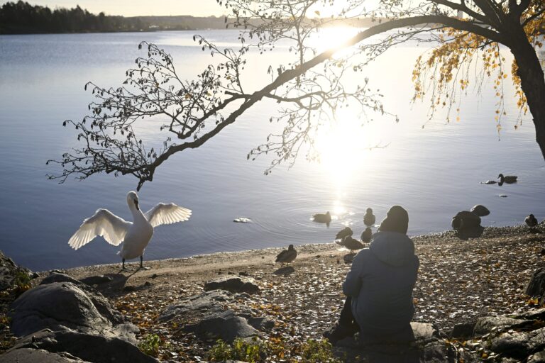 Seurasaari