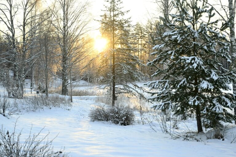 Pakkaspäivä Keuruulla